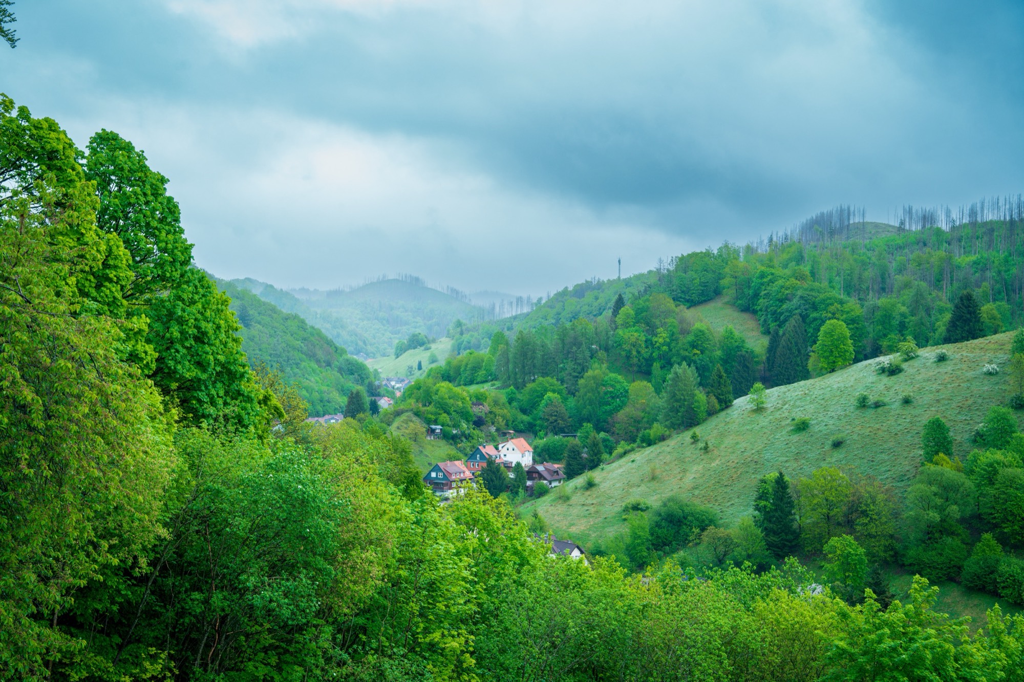 Umgebung der Wohngemeinschaft im Harz